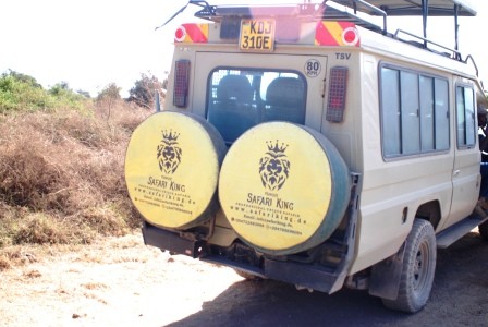Rote Elefanten im Tsavo Ost Nationalpark